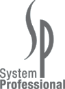 System Professional